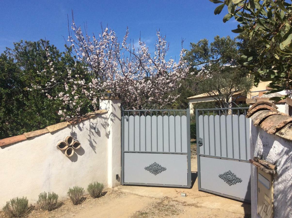 Le Mas Amore Bed & Breakfast Gassin Dış mekan fotoğraf