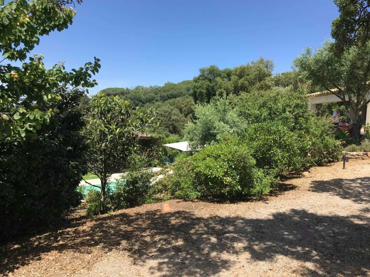 Le Mas Amore Bed & Breakfast Gassin Dış mekan fotoğraf